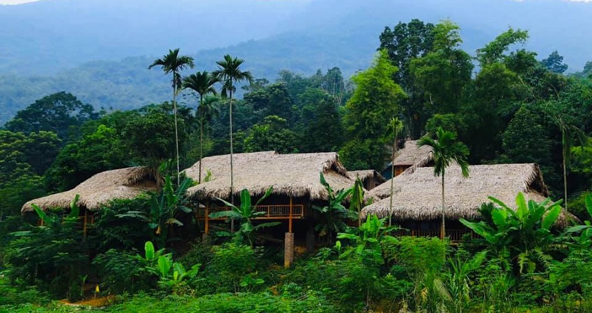 Tour du lịch Mai Châu - Pù Luông - Suối cá thần Cẩm Lương 2 ngày 1 đêm