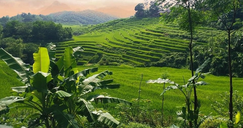 Voyage de decouverte de la reserve Pu Luong, randonnee à Pu luong